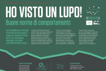 AVVISTAMENTO LUPI-NORME DI COMPORTAMENTO